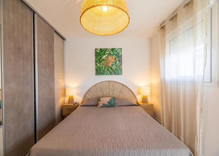 Les Alizes & LʼÎle-Rousse